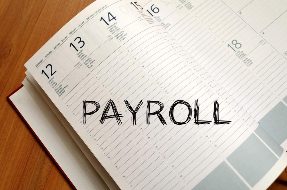 Picture showing payroll service providers